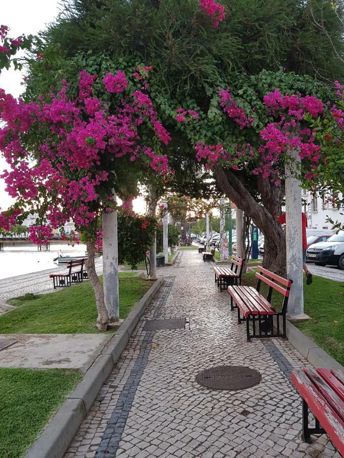 Bel Appartement Centre De Ταβίρα Εξωτερικό φωτογραφία